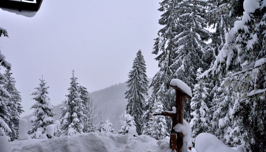 Frohes Neues und „Guten&nbsp;Rutsch“