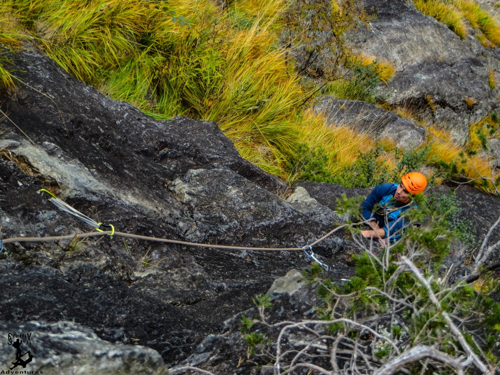 Sonnenblumen im Oktober
