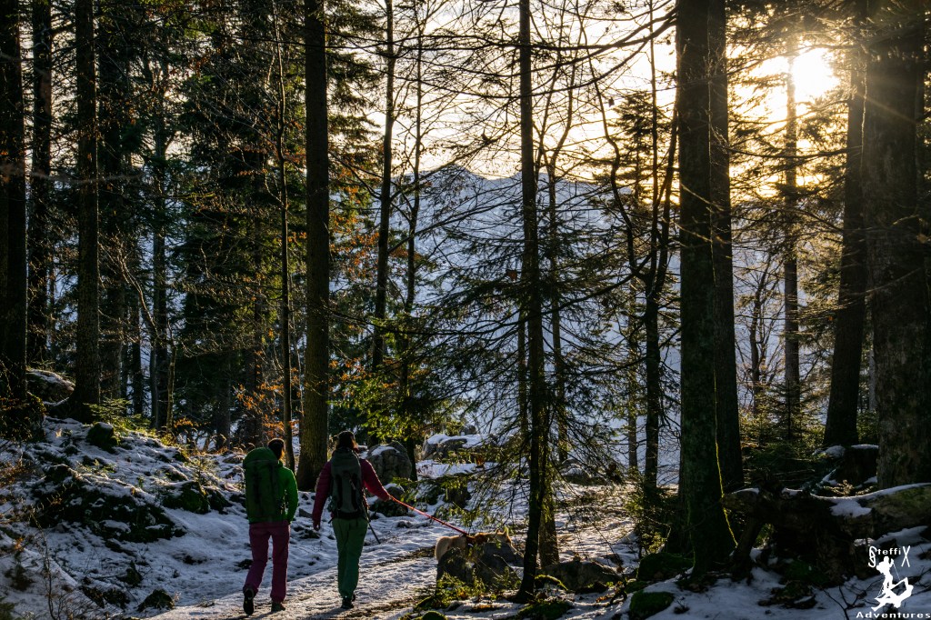 „Winter“ an der Willy&nbsp;Wand