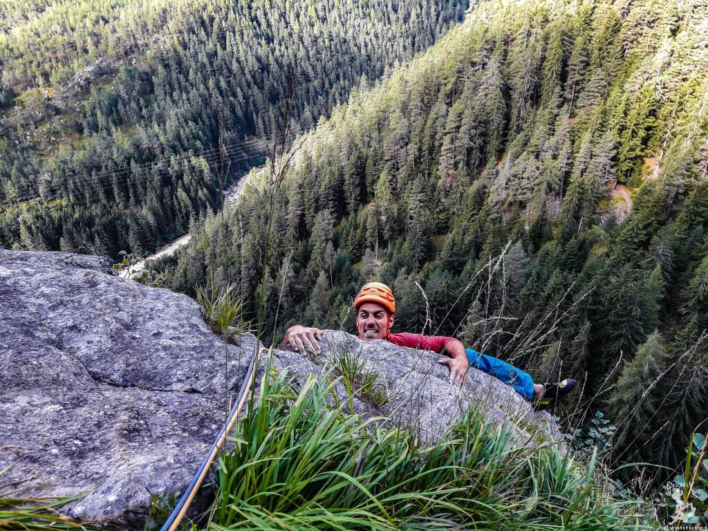 Vormittags-Träumerei