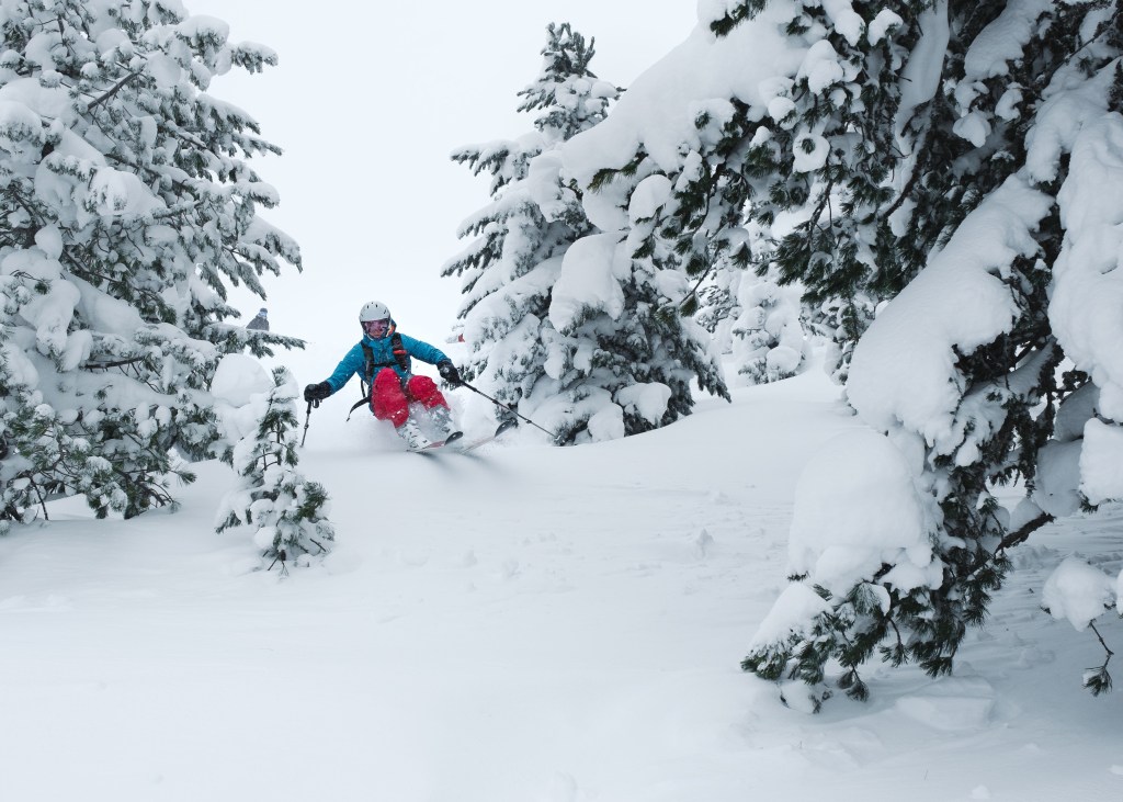 One – Two – Tree