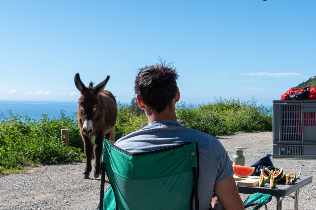 Azurblaue Küstenzeit