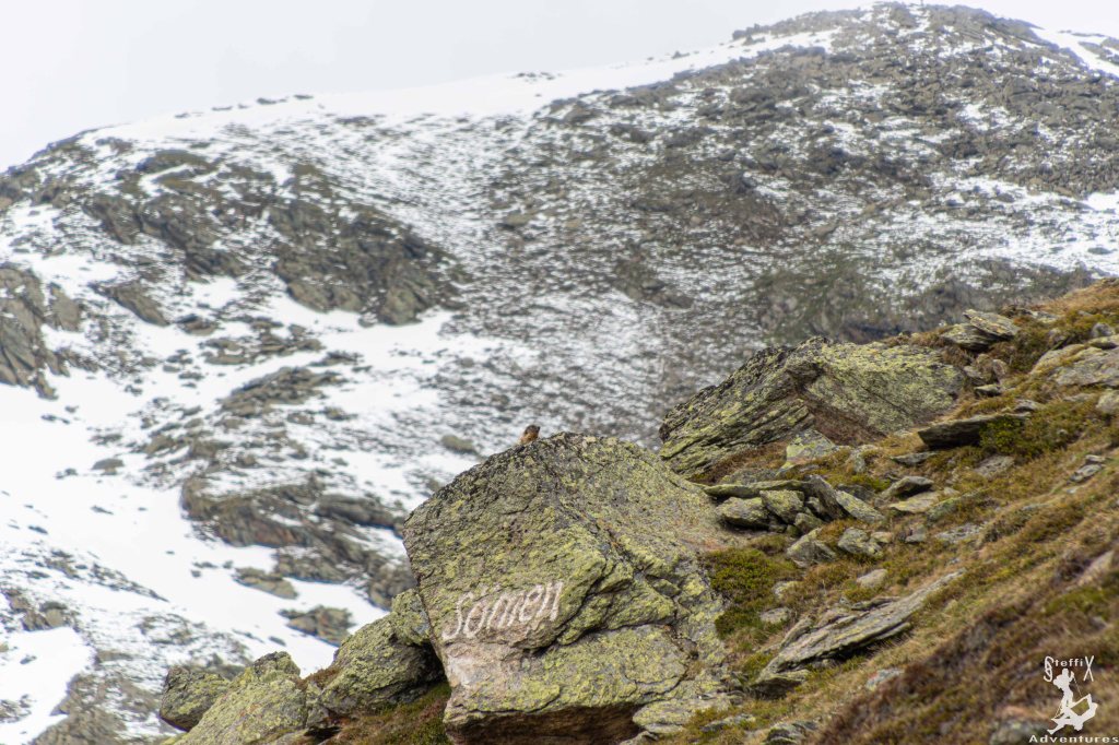 Roter Kogel = „Weißer Kogel“ =&nbsp;Sömen
